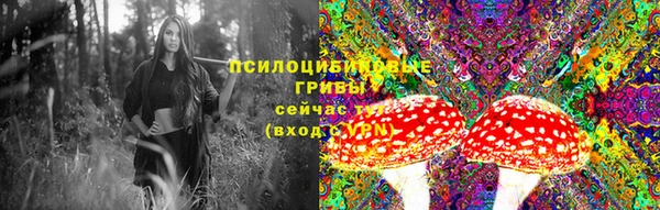 mdpv Алексин