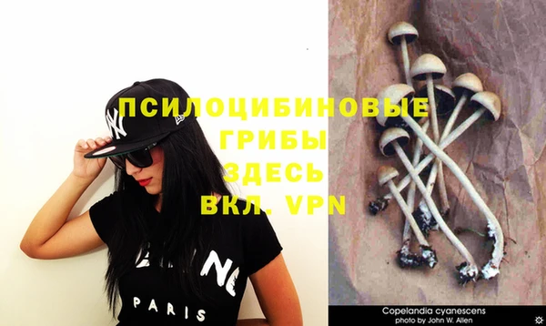 каннабис Алексеевка