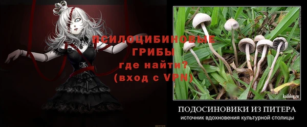 каннабис Алексеевка