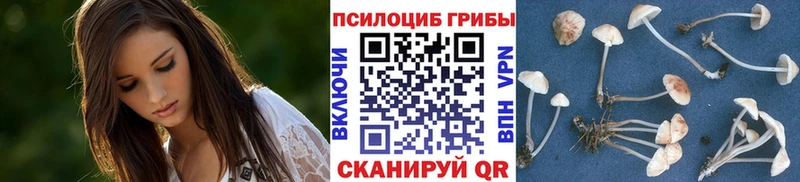 Галлюциногенные грибы мухоморы  Муравленко 